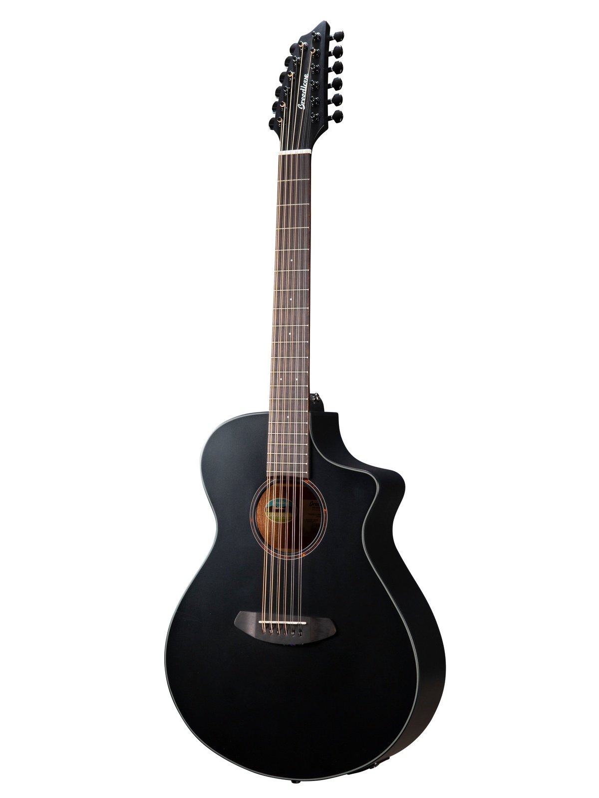 Breedlove DSCN28XCEEUAM - Concert Satin Black 12 CE