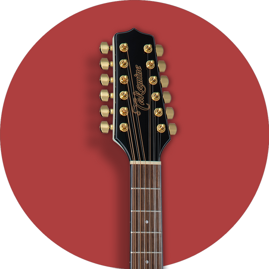 Best ovation hot sale 12 string guitar