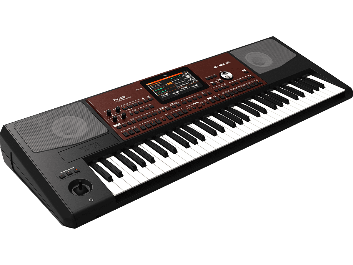 Korg pa600 weight deals