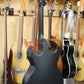 Bajo Quinto Gloss Black Flowers