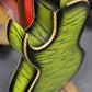 Bajo Quinto Green Tiger