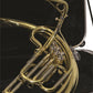B - U.S.A. WSPLT-LQ Sousaphone Tuba Lacquer – Gold Color Large Tube