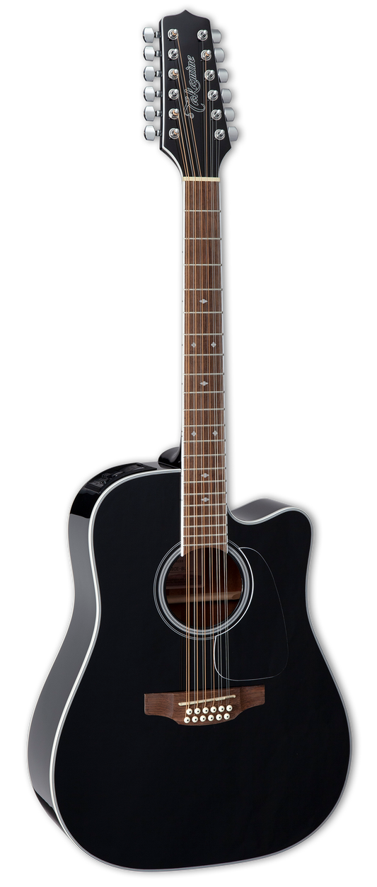 CamposMusic 12 String Guitars Selections