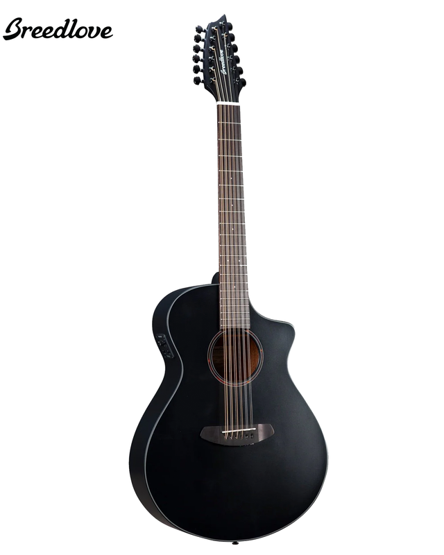 Breedlove DSCN28XCEEUAM - Concert Satin Black 12 CE