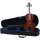 Palatino Allegro VA-450 Hand Carved Viola Outfit With Case & Bow, 14" Size