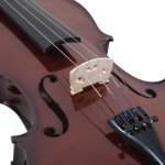 Palatino VA-450-13 Allegro Viola Outfit, 13 Inches