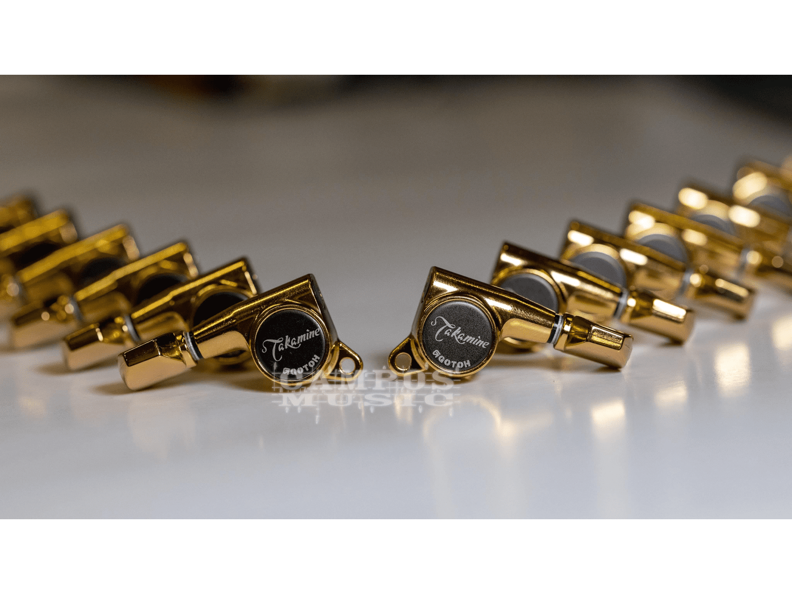 Takamine Pro Series Tuner TP0512 12 STRING SET GOLD